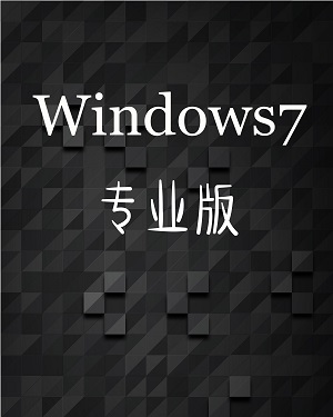 win7專(zhuān)業(yè)版64位系統(tǒng)下載